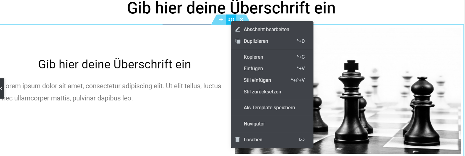 Abschnitt duplizieren Elementor